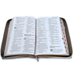 Biblia Reina Valera 1960 – 088 – Con Concordancia – Letra 19 pts – 16x23 cm – Cierre con Índice – Café