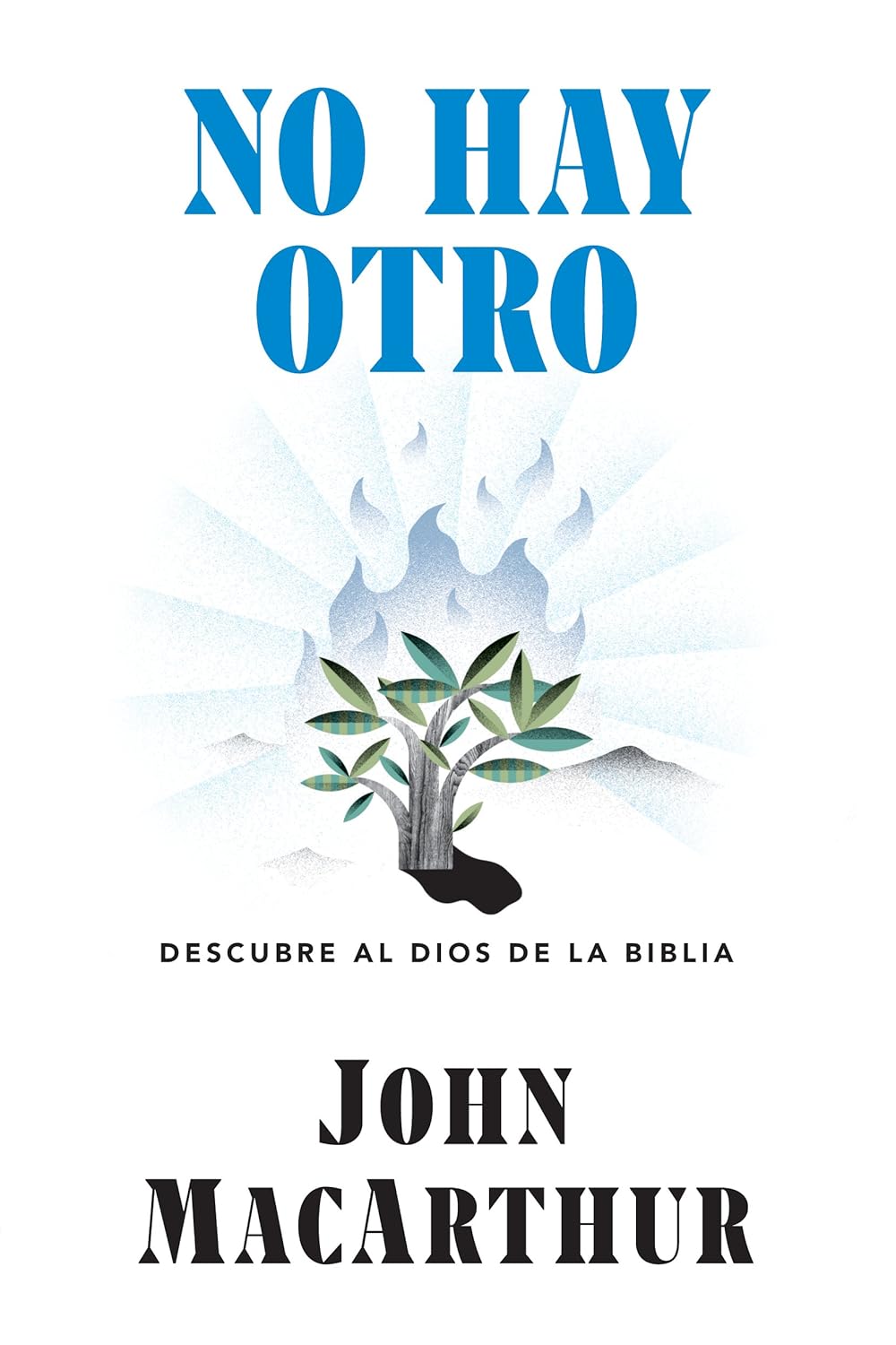 No Hay Otro