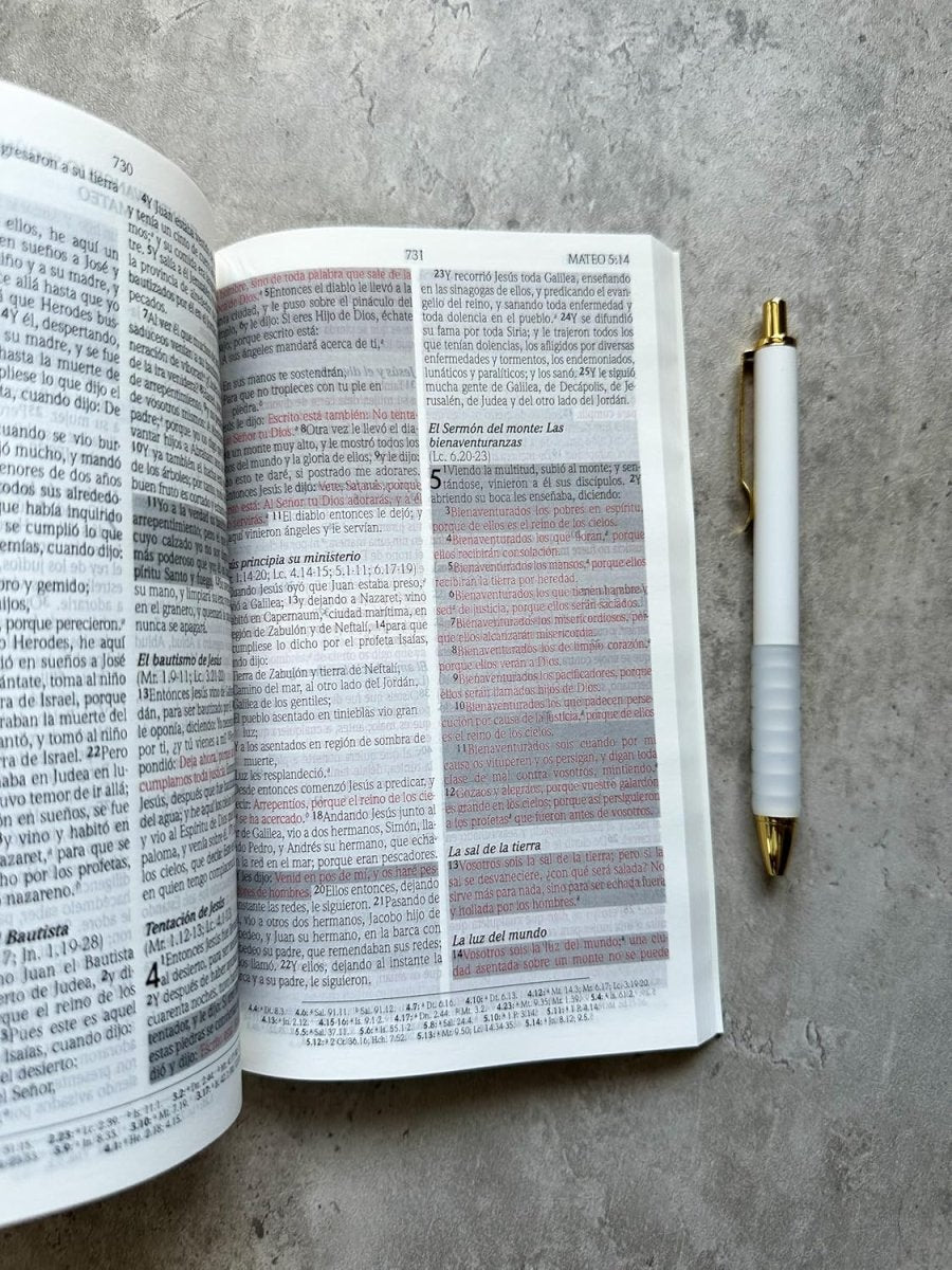 Biblia Reina Valera 1960 de Promesas · Edición económica · Tapa dura negra