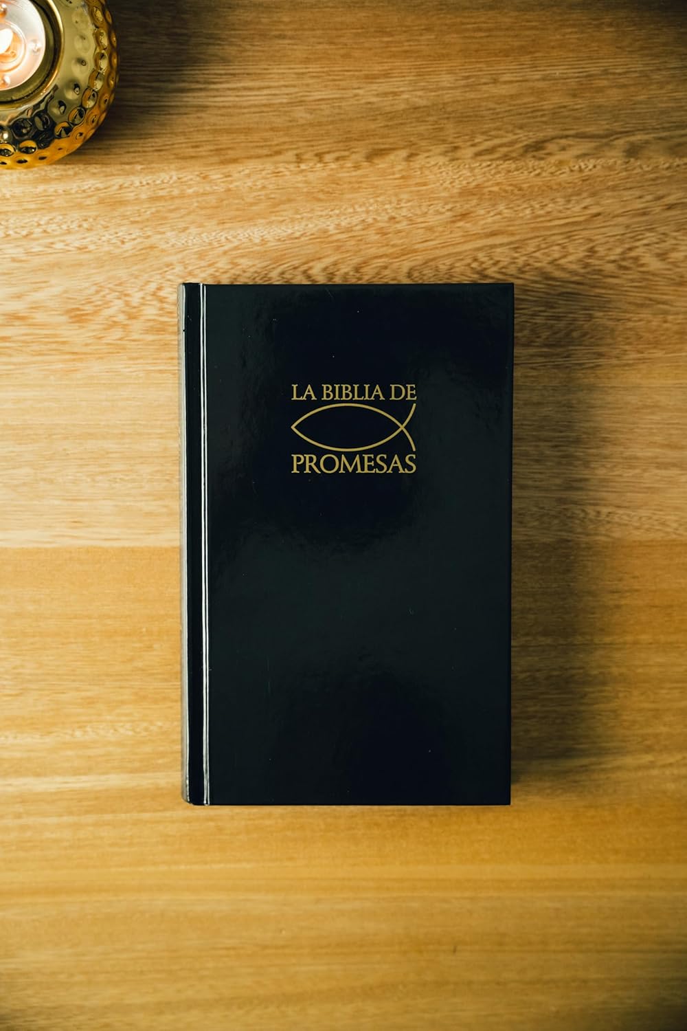 Biblia Reina Valera 1960 de Promesas · Edición económica · Tapa dura negra