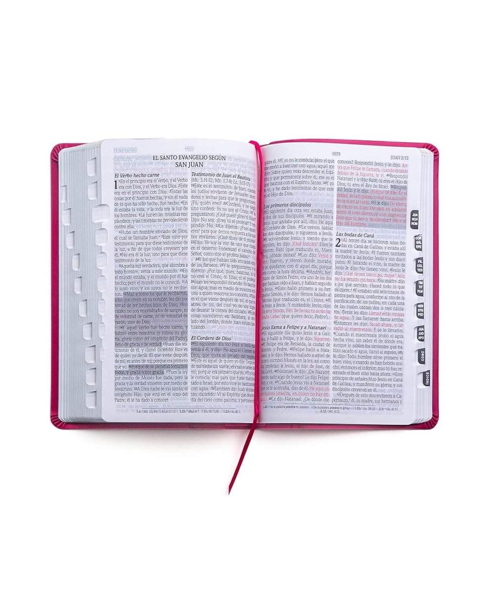 Biblia Reina Valera 1960 de Promesas · Tamaño manual · Edición fucsia · Imitación piel con índice