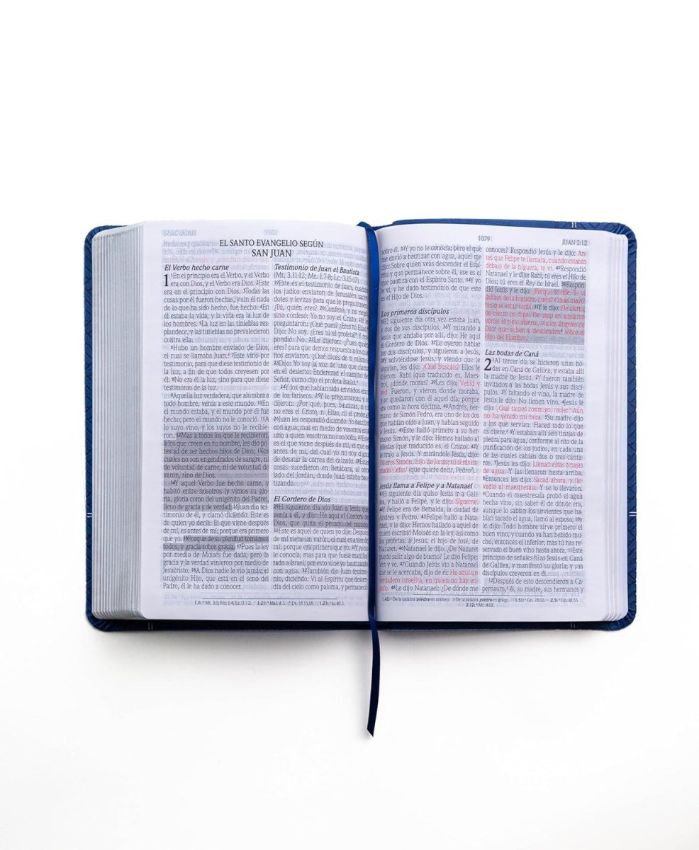 Biblia Reina Valera 1960 de Promesas · Tamaño manual · Imitación piel azul