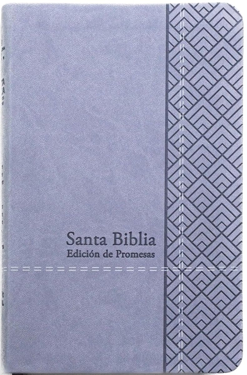 Biblia Reina Valera 1960 de Promesas · Tamaño manual · Imitación piel gris claro