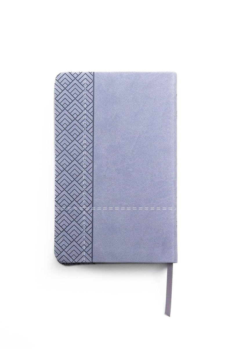 Biblia Reina Valera 1960 de Promesas · Tamaño manual · Imitación piel gris claro