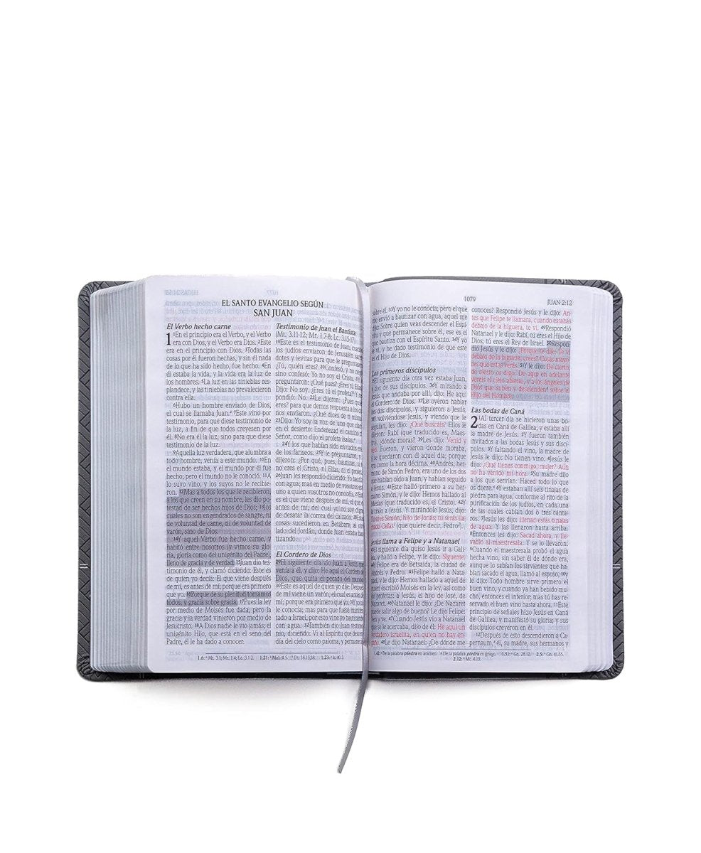 Biblia Reina Valera 1960 de Promesas · Tamaño manual · Imitación piel gris claro