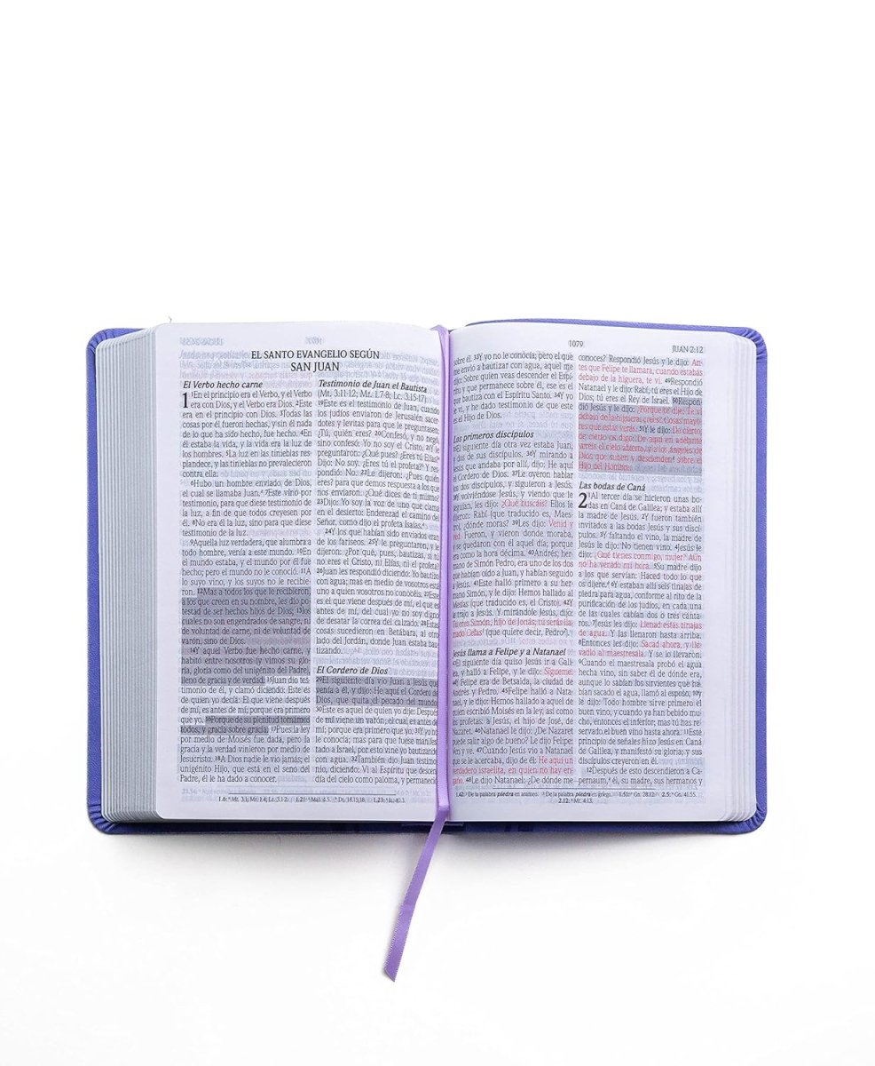 Biblia Reina Valera 1960 de Promesas · Tamaño manual · Imitación piel lavanda claro