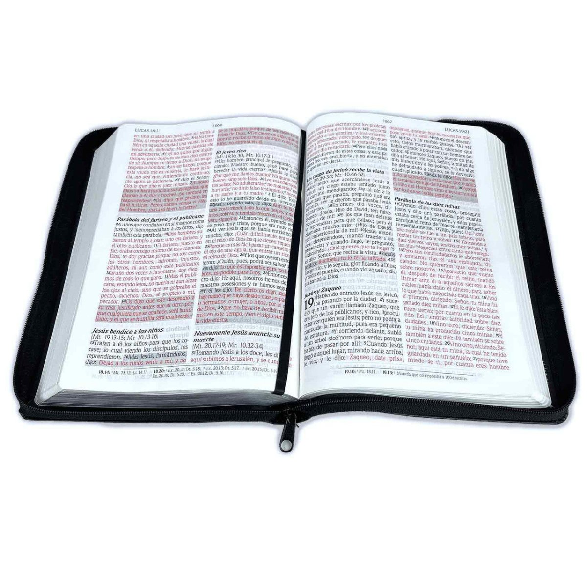 Biblia Reina Valera 1960 de Promesas · Letra gigante · Imitación piel negra con cierre