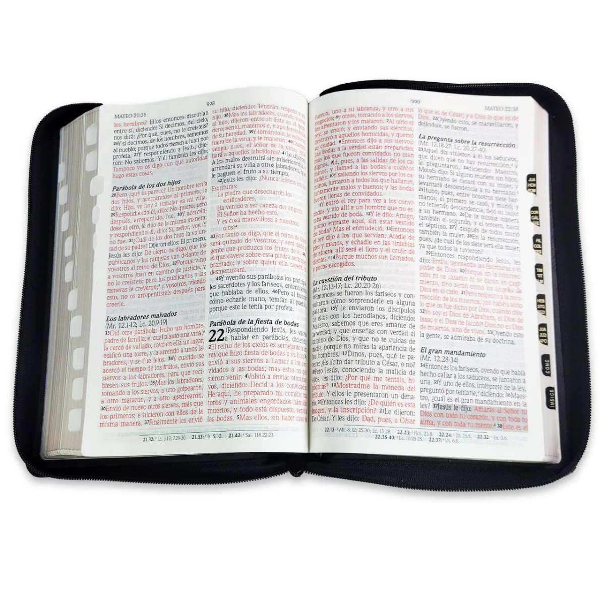 Biblia Reina Valera 1960 de Promesas · Letra gigante · Imitación piel negra con cierre e índice