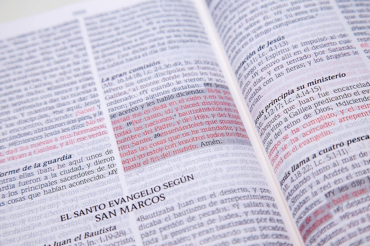 Biblia Reina Valera 1960 de Promesas · Letra gigante · Imitación piel turquesa con cierre e índice