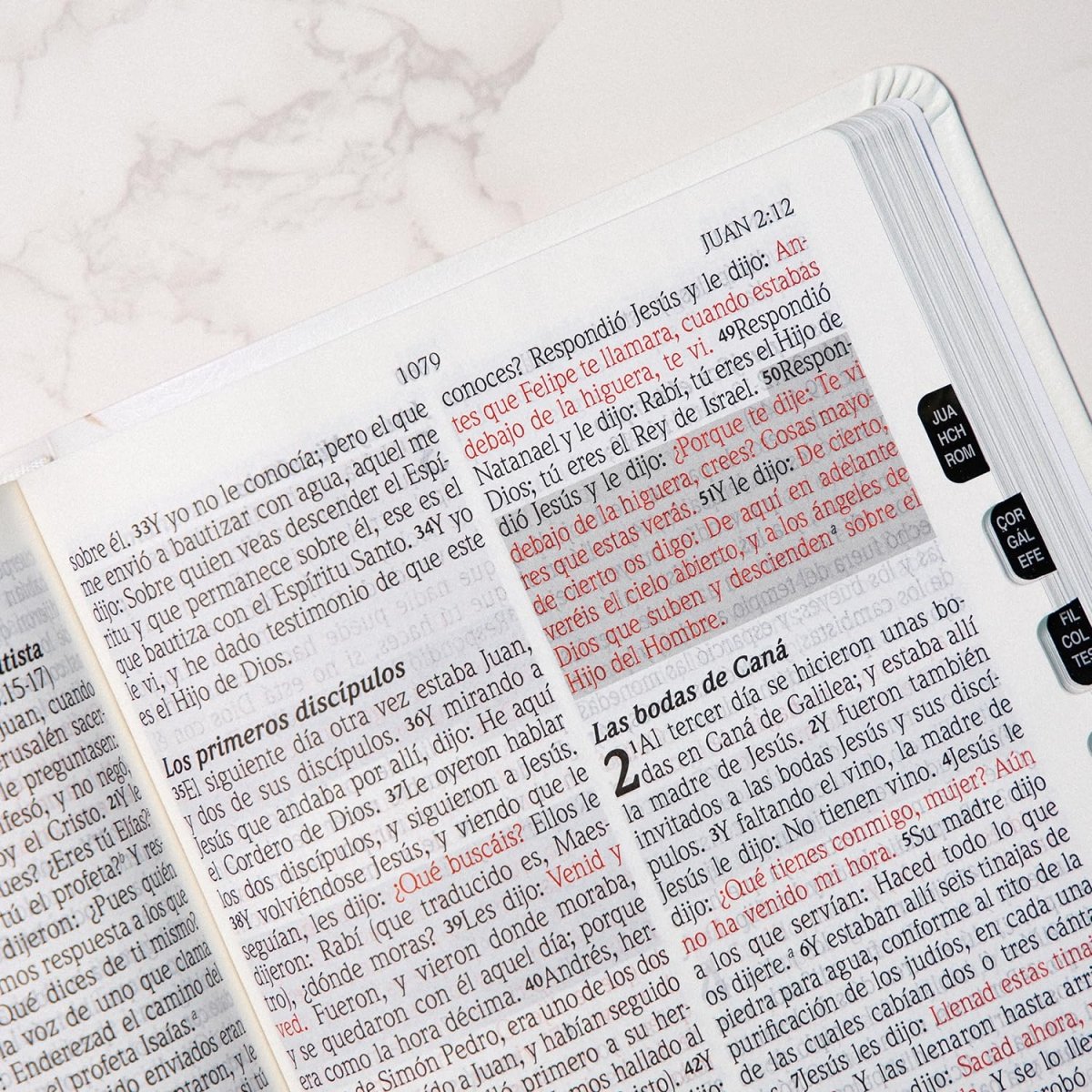 Biblia Reina Valera 1960 de Promesas · Letra gigante · Imitación piel floral con índice