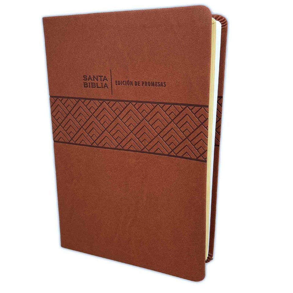 Biblia Reina Valera 1960 de Promesas Letra Grande 13 puntos