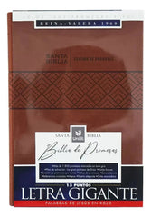 Biblia De Promesas, Letra Gigante