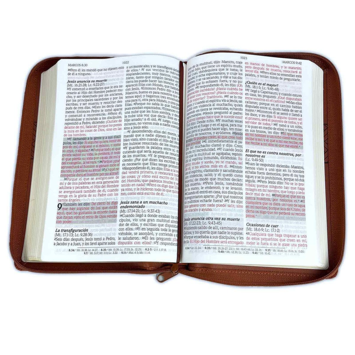 Biblia Reina Valera 1960 de Promesas · Letra gigante · Imitación piel café con cierre