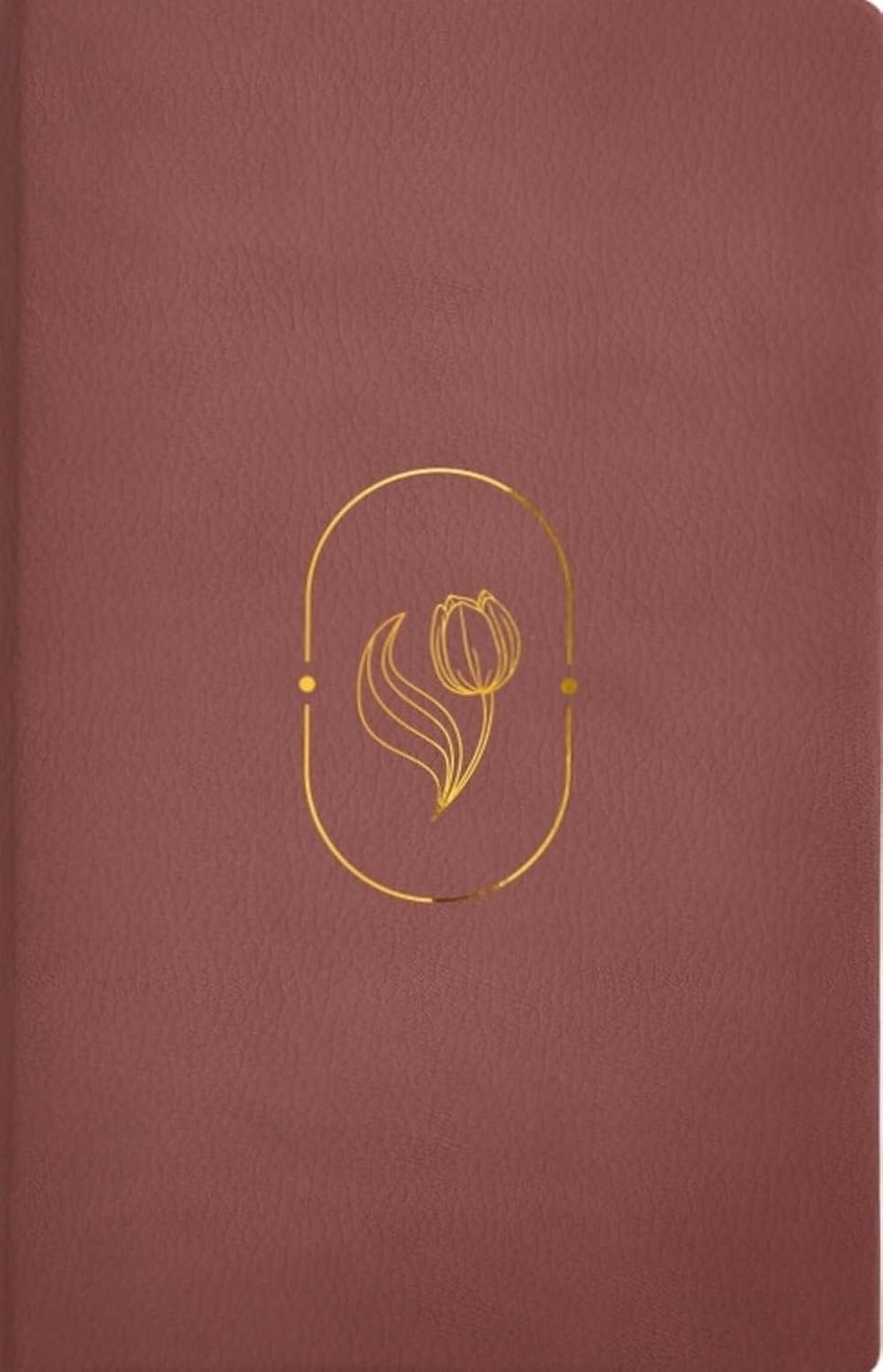 Biblia Reina-Valera 1960 De Promesas Virtuosa, Letra 13 Pt, 15×22, Tapa PU, Rosa