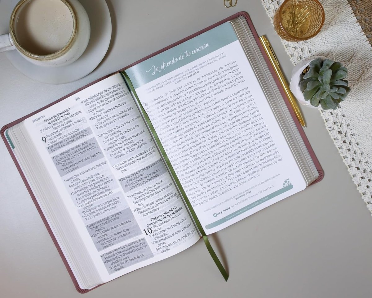 Biblia Reina-Valera 1960 De Promesas Virtuosa, Letra 13 Pt, 15×22, Tapa PU, Rosa