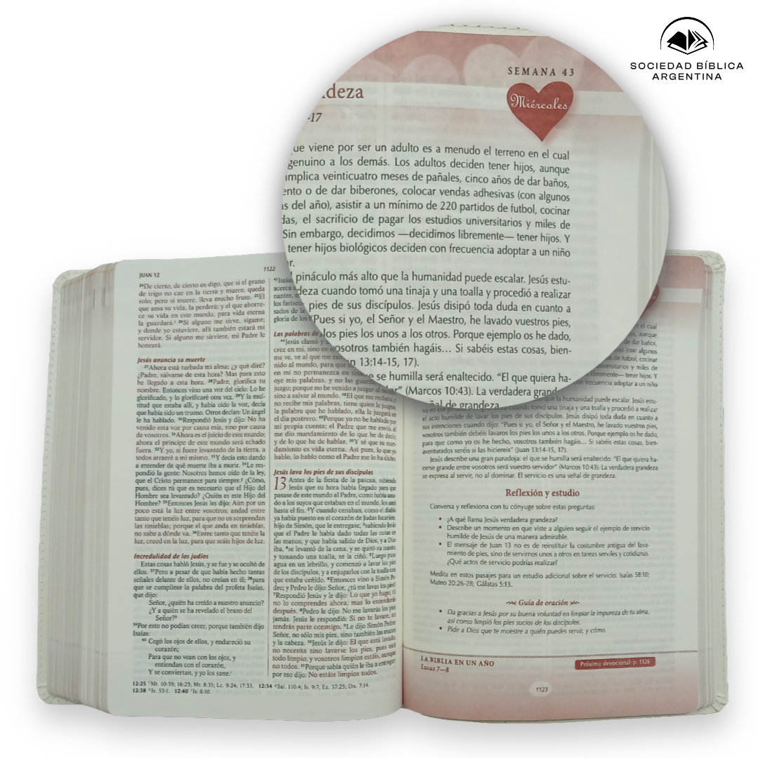 Biblia RVR 1960 Devocional Los lenguajes del amor Oro Rosa