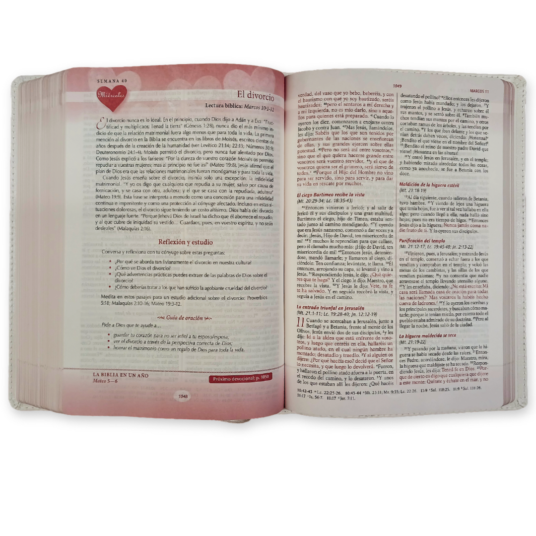 Biblia RVR 1960 Devocional Los lenguajes del amor Oro Rosa