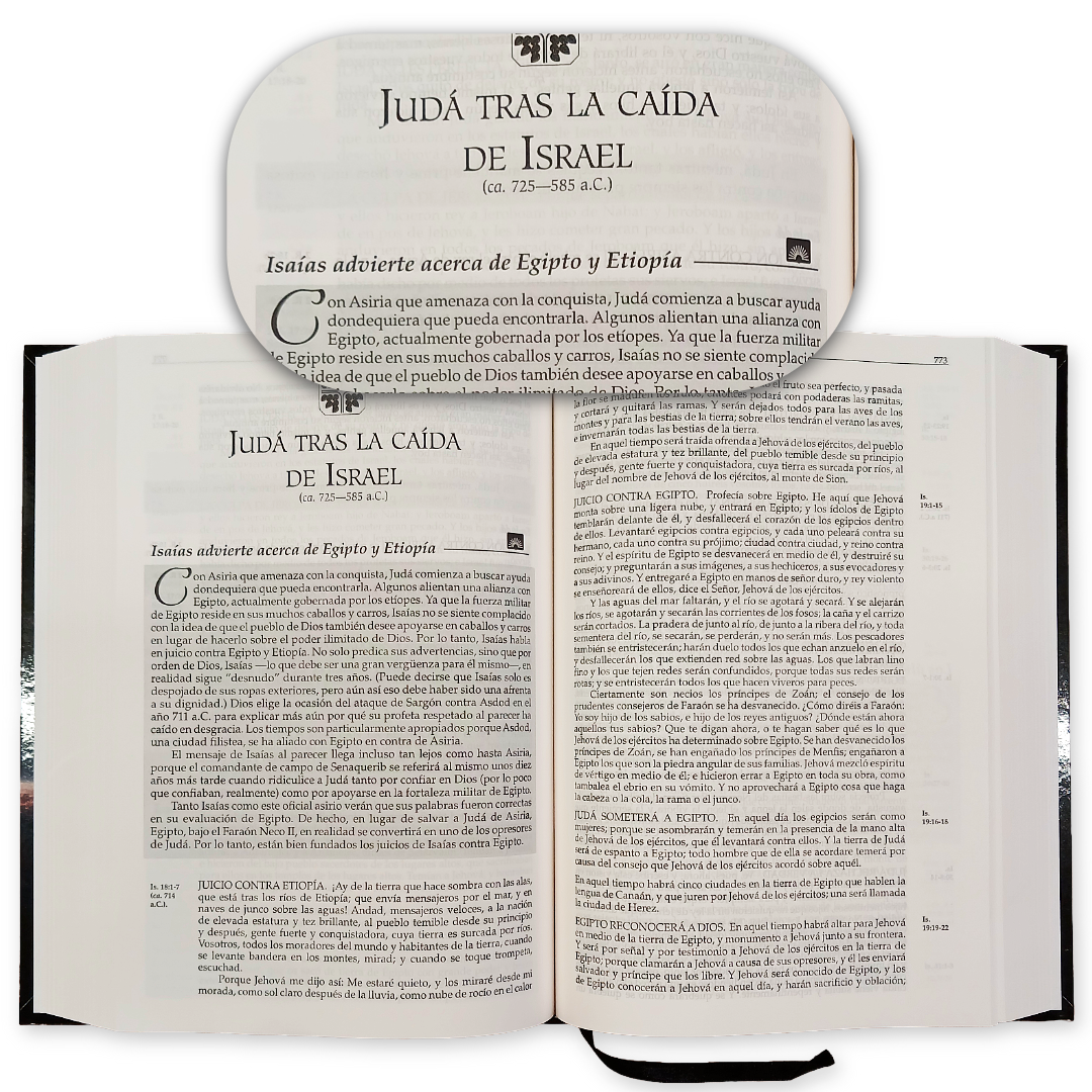 Biblia en Orden Cronológico Reina Valera 1960 – Tapa Dura