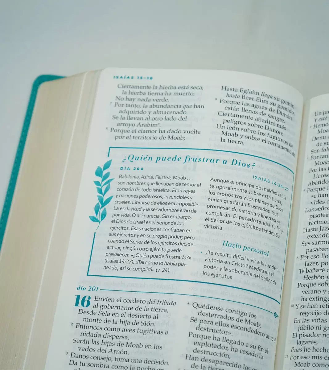 Biblia NBLA Devocional mujer Verdadera Letra Grande