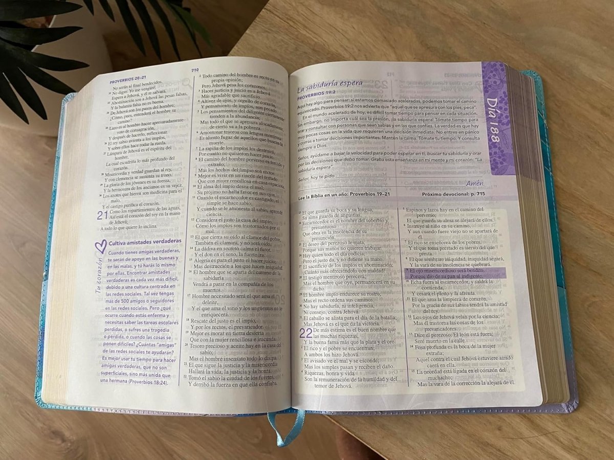 Biblia Reina-Valera 1960 De Una Joven Conforme Al Corazón De Dios, 15×21