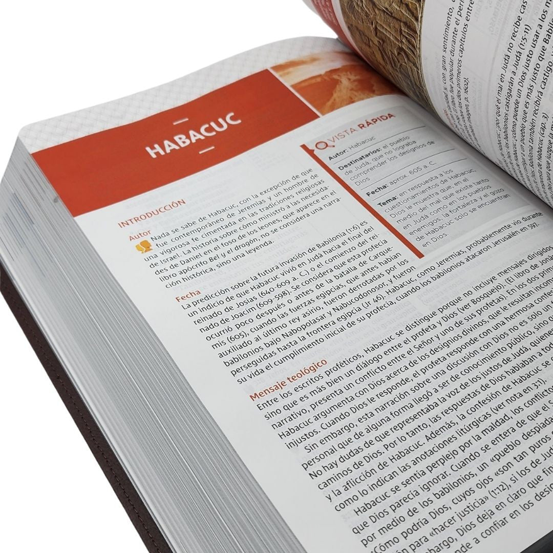 Biblia De Estudio Nueva Versión Internacional Letra Grande Marron