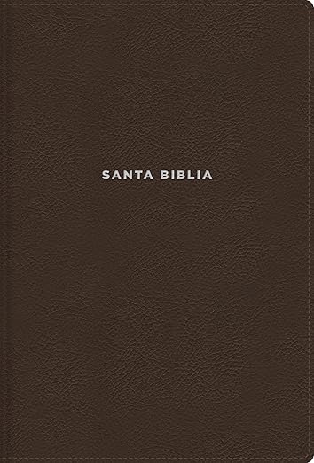 Biblia De Estudio Nvi Letra Grande Indice Marron