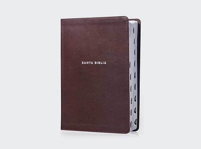 Biblia De Estudio Nvi Letra Grande Indice Marron