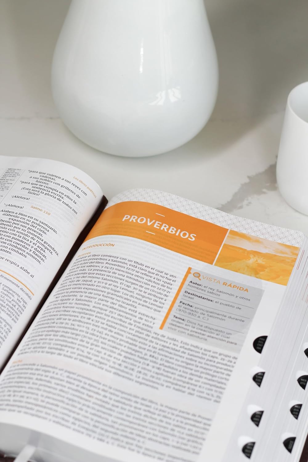 Biblia De Estudio Nvi Letra Grande Indice Marron