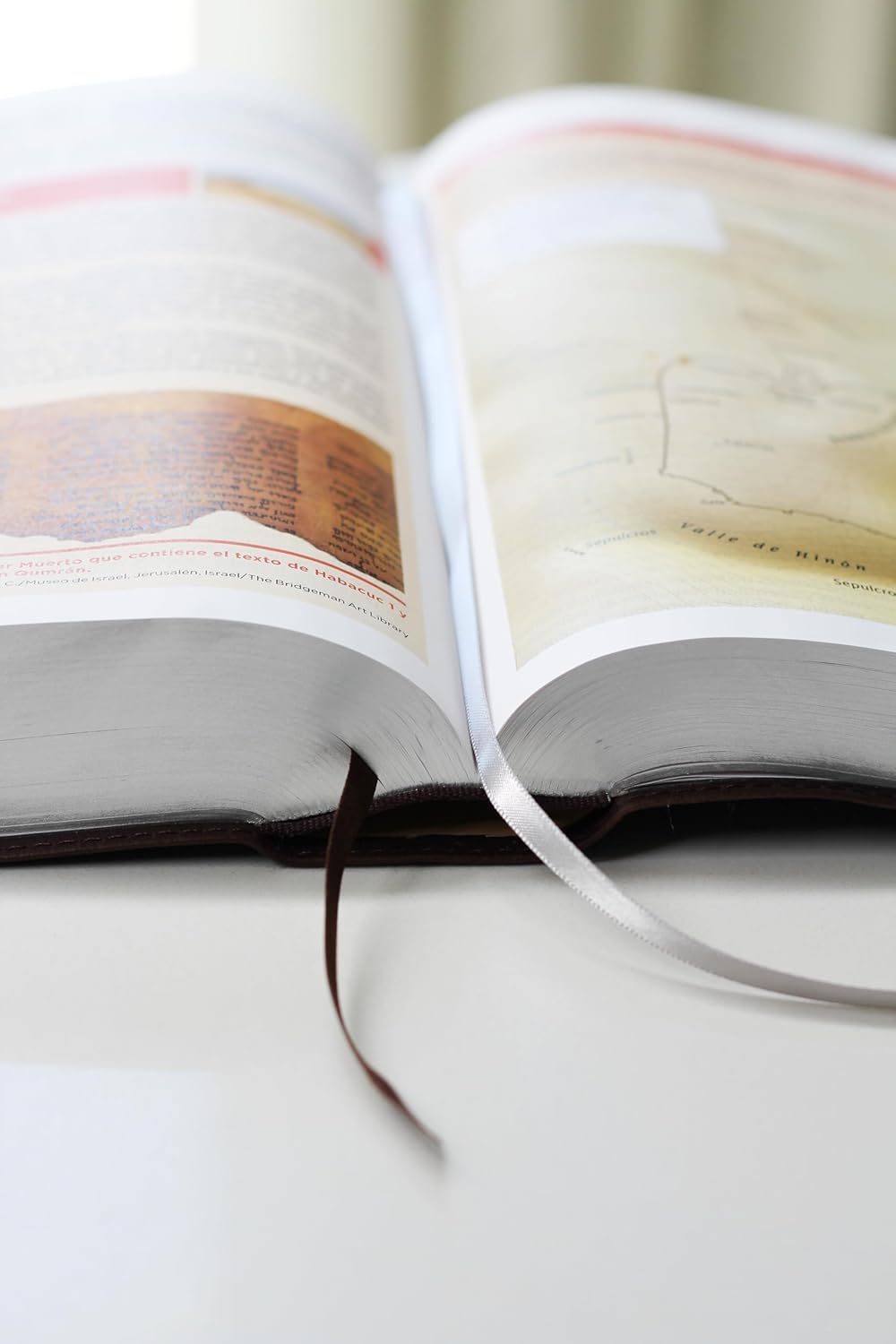 Biblia De Estudio Nvi Letra Grande Indice Marron