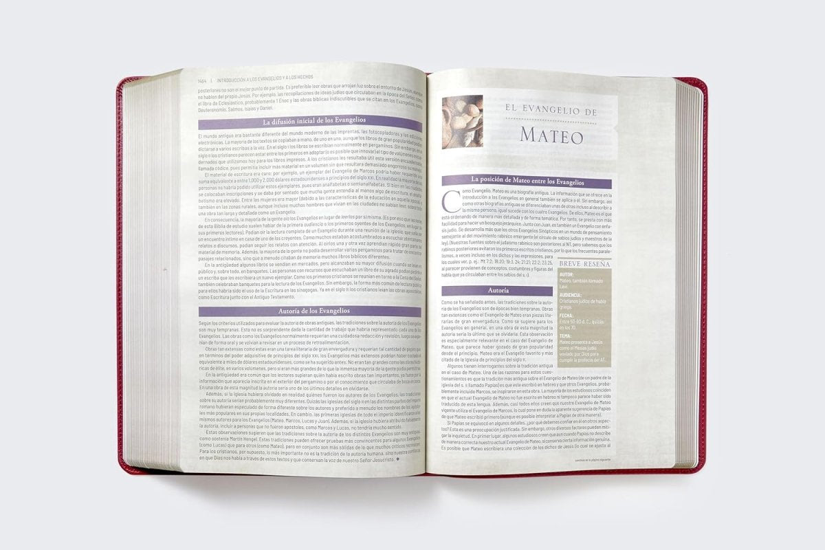 Biblia Reina-Valera 1960 De Estudio Trasfondo Cultural, Palabras De Jesús En Rojo, Letra 8 Pt, 20×28, Ilustrada, Índice, Tapa PU, Rojo Vino