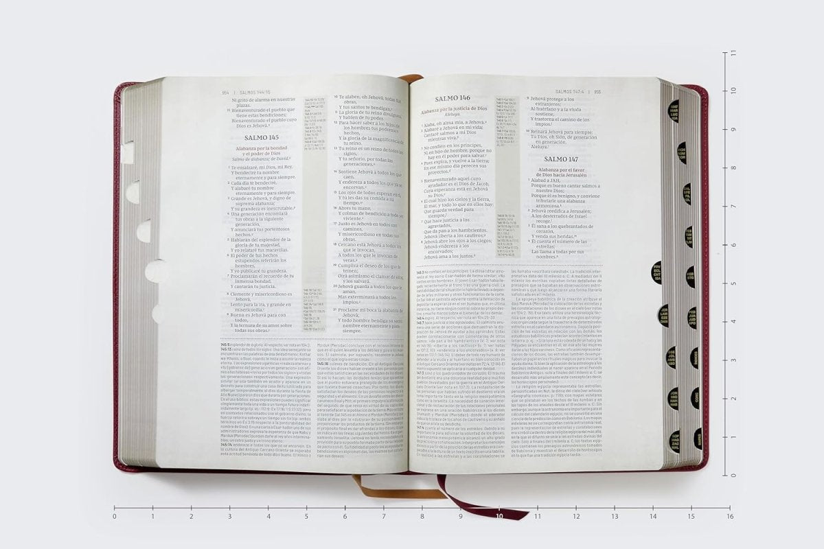 Biblia Reina-Valera 1960 De Estudio Trasfondo Cultural, Palabras De Jesús En Rojo, Letra 8 Pt, 20×28, Ilustrada, Índice, Tapa PU, Rojo Vino