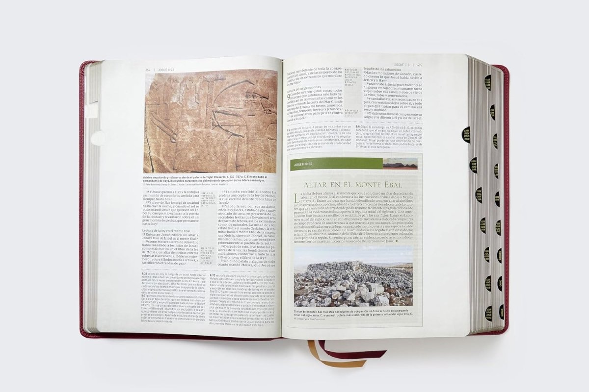 Biblia Reina-Valera 1960 De Estudio Trasfondo Cultural, Palabras De Jesús En Rojo, Letra 8 Pt, 20×28, Ilustrada, Índice, Tapa PU, Rojo Vino