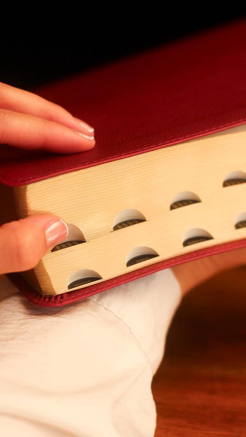 Biblia Reina-Valera 1960 De Estudio Trasfondo Cultural, Palabras De Jesús En Rojo, Letra 8 Pt, 20×28, Ilustrada, Índice, Tapa PU, Rojo Vino