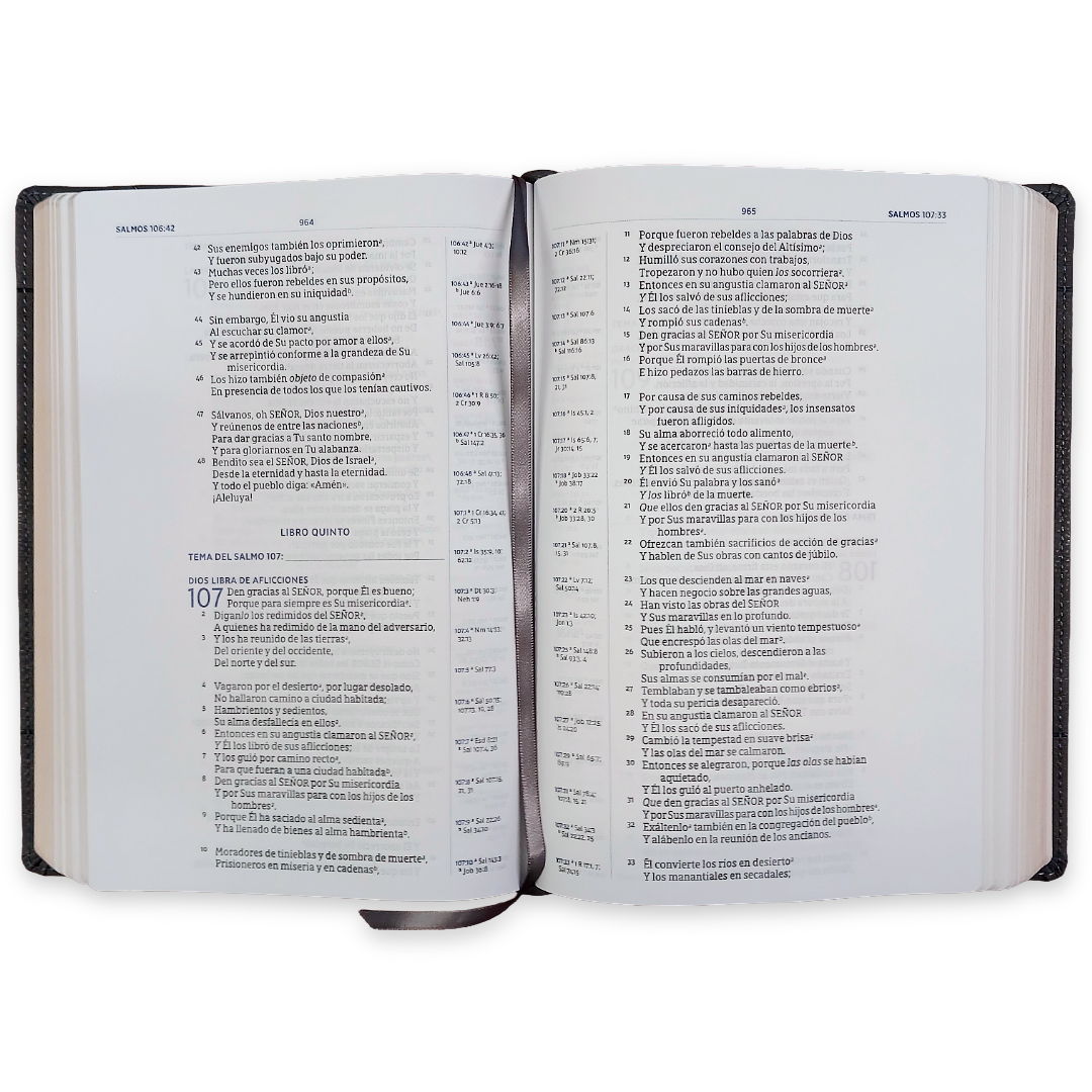Biblia Nueva Biblia De Las Américas (NBLA) Para El Estudio Inductivo, 18×25, Tapa PU, Comfort Print, Gris