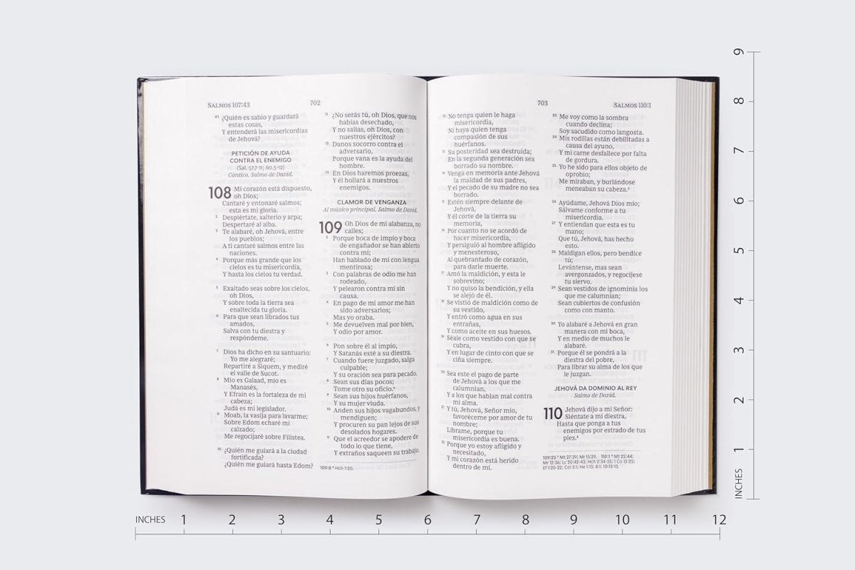 Biblia Reina-Valera 1960, Palabras De Jesús En Rojo, Letra 10 Pt, 14×22, Tapa Dura, Negro