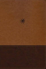 Biblia Nueva Biblia De Las Américas (NBLA) Cronológica De Estudio, Letra 9 Pt, 18×25, Tapa PU, Dos Tonos, Café