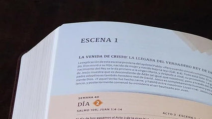 Biblia Rvr 1960 Cronologica, Dia Por Dia, Marron Simil Piel