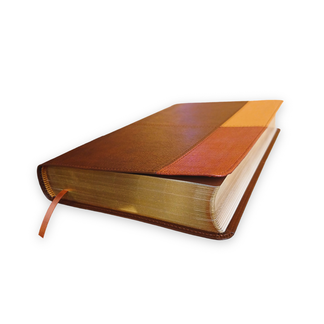 Biblia Reina Valera 1960 De Estudio Arcoiris Letra 10 P 18 X 26 Cocoa/ Terracota Simil Piel