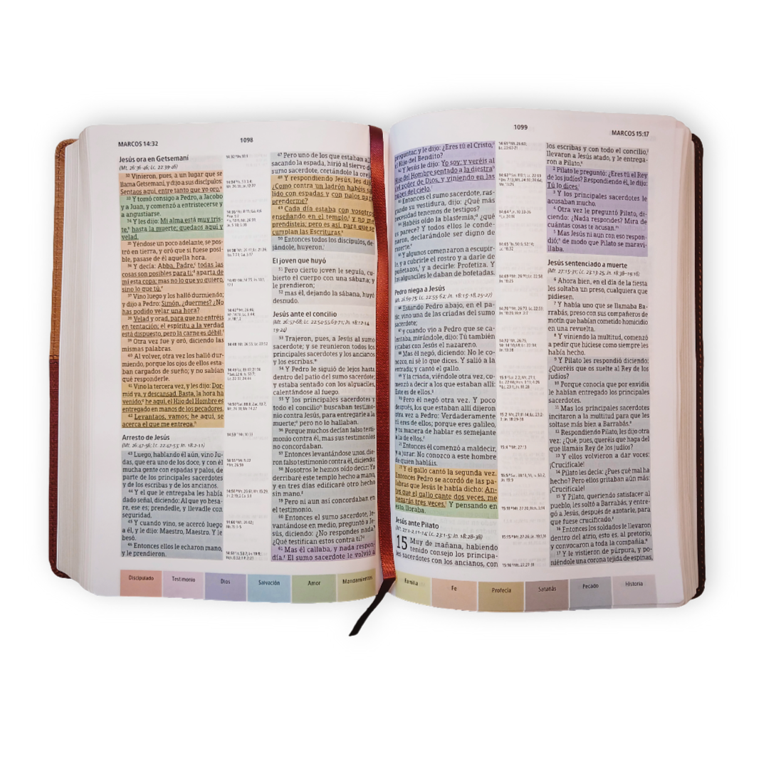 Biblia Reina Valera 1960 De Estudio Arcoiris Letra 10 P 18 X 26 Cocoa/ Terracota Simil Piel