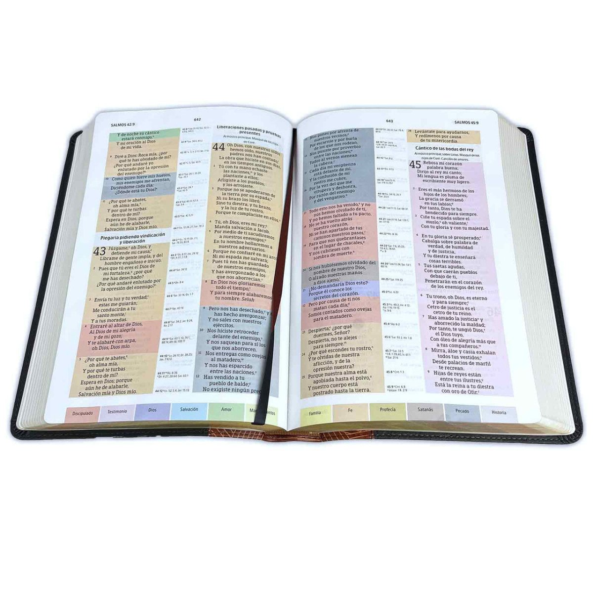 Biblia Reina Valera 1960 De Estudio Arcoiris Letra 10 P 18 X 26 Cocoa/ Terracota Simil Piel