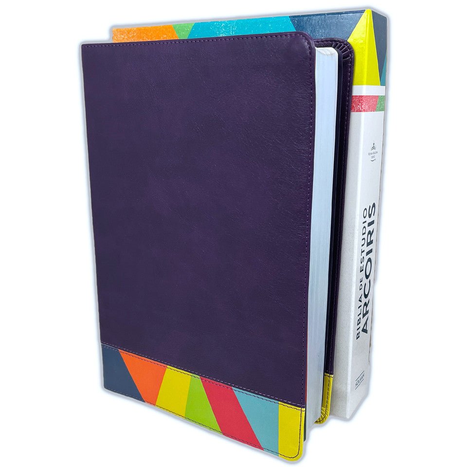 Biblia de Estudio Reina Valera 1960 Arcoiris Morado/Multicolor