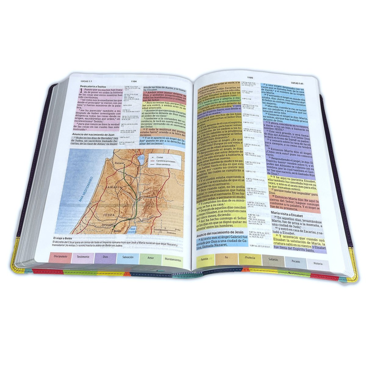 Biblia de Estudio Reina Valera 1960 Arcoiris Morado/Multicolor