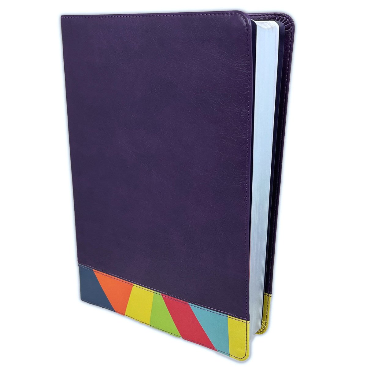 Biblia de Estudio Reina Valera 1960 Arcoiris Morado/Multicolor