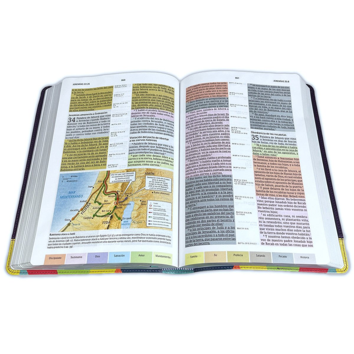 Biblia de Estudio Reina Valera 1960 Arcoiris Morado/Multicolor