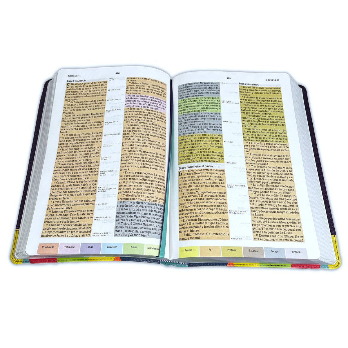 Biblia de Estudio Reina Valera 1960 Arcoiris Morado/Multicolor