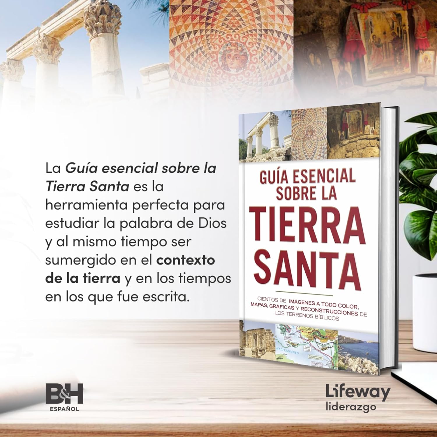 Guia Esencial sobre la Tierra Santa