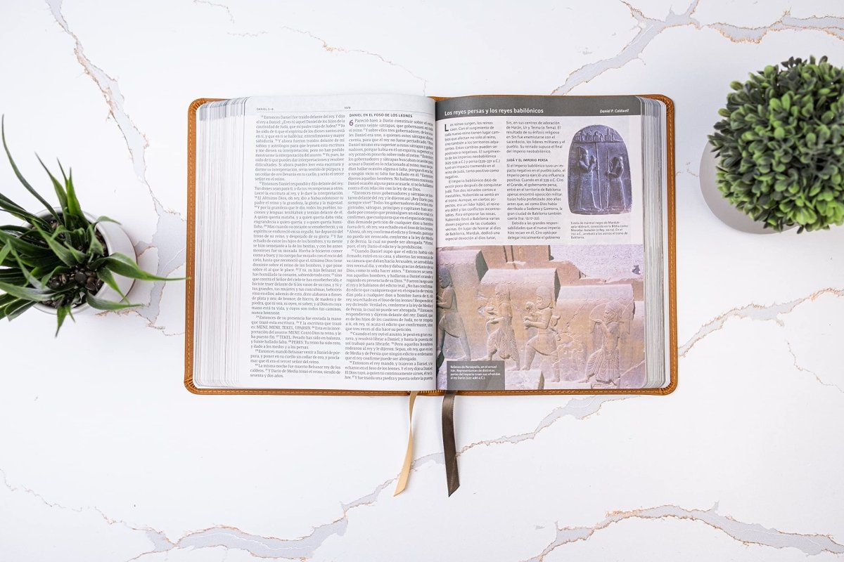 Biblia Reina Valera 1960 Illustrada De La Tierra Santa Cafe Simil Piel