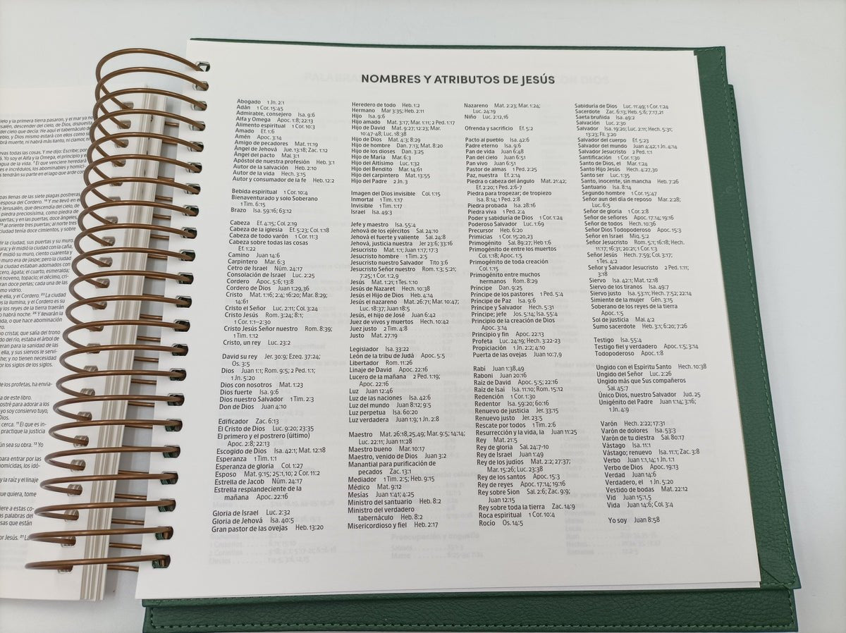 Biblia Reina Valera 1960 para Ilustrar Verde Simil Piel