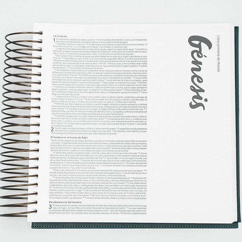 Biblia Reina Valera 1960 para Ilustrar Verde Simil Piel