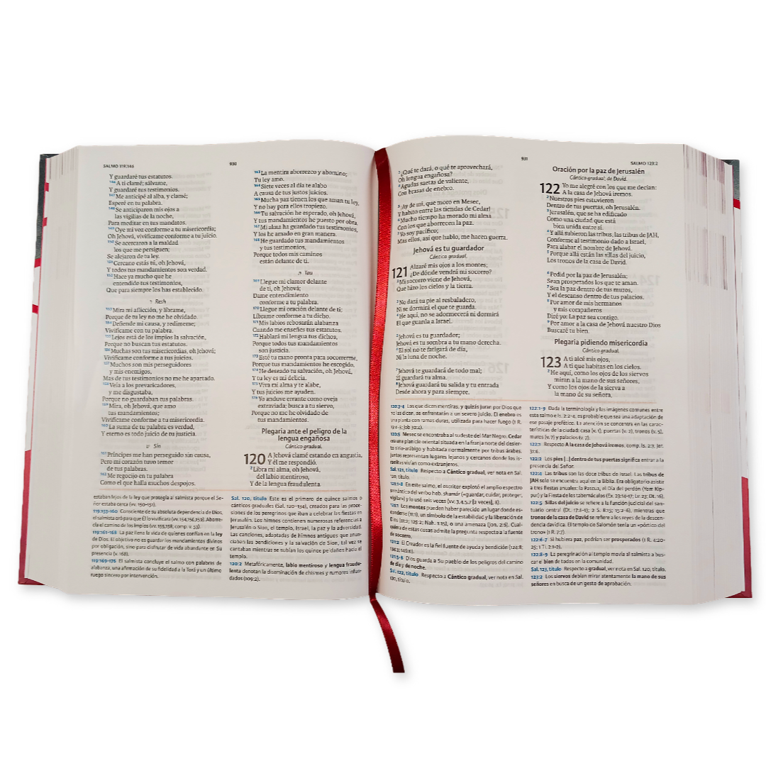 Biblia Rvr 1960 De Estudio Holman Tapa Dura Rvr60 - B&H - Lifeway